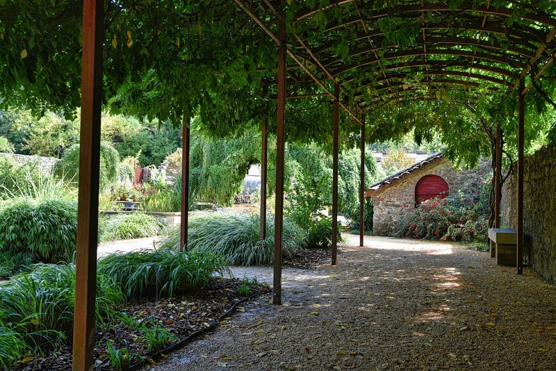 Majestic arbors